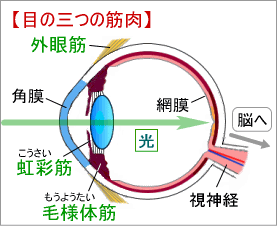 f:id:trendarticles:20171011160541g:plain