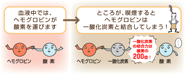 f:id:trendarticles:20171025071437j:plain