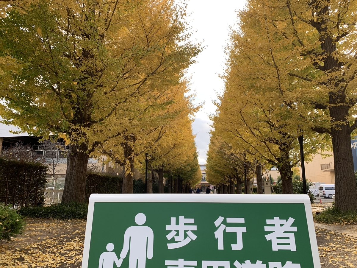 f:id:trhnmr:20220121091718j:plain
