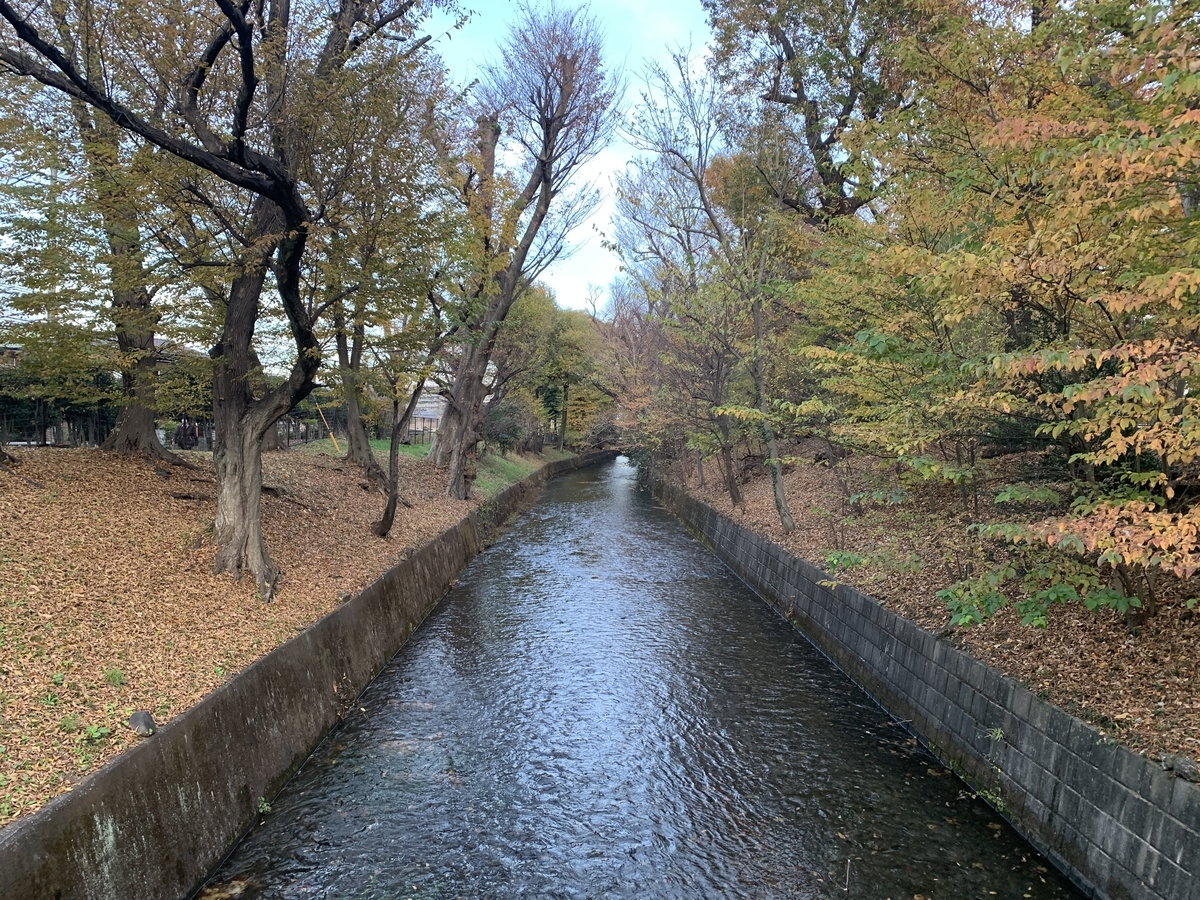 f:id:trhnmr:20220121092043j:plain