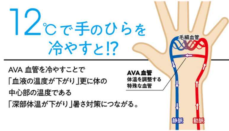 f:id:triathlon_runbikeswim:20200620123737p:plain f:id:triathlon_runbikeswim:20200620123737p:plain