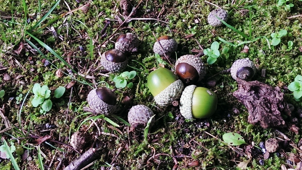 f:id:trick-spec:20130914155544j:plain