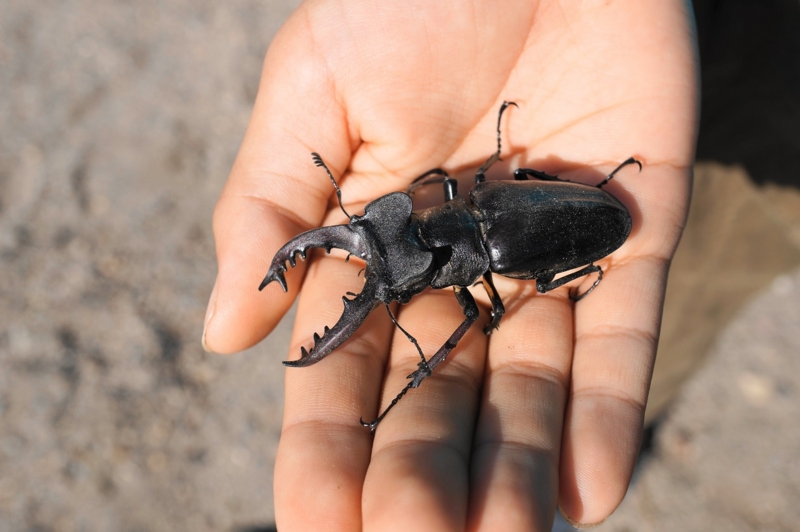 f:id:trick-spec:20140916083244j:plain