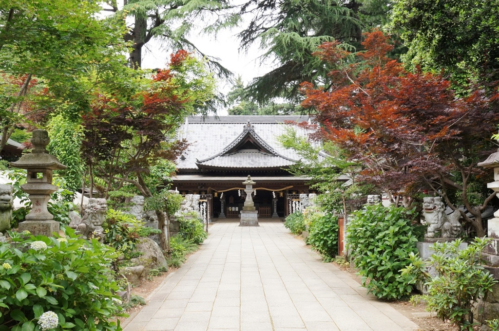 f:id:trick-spec:20160606132516j:plain f:id:trick-spec:20160606132516j:plain