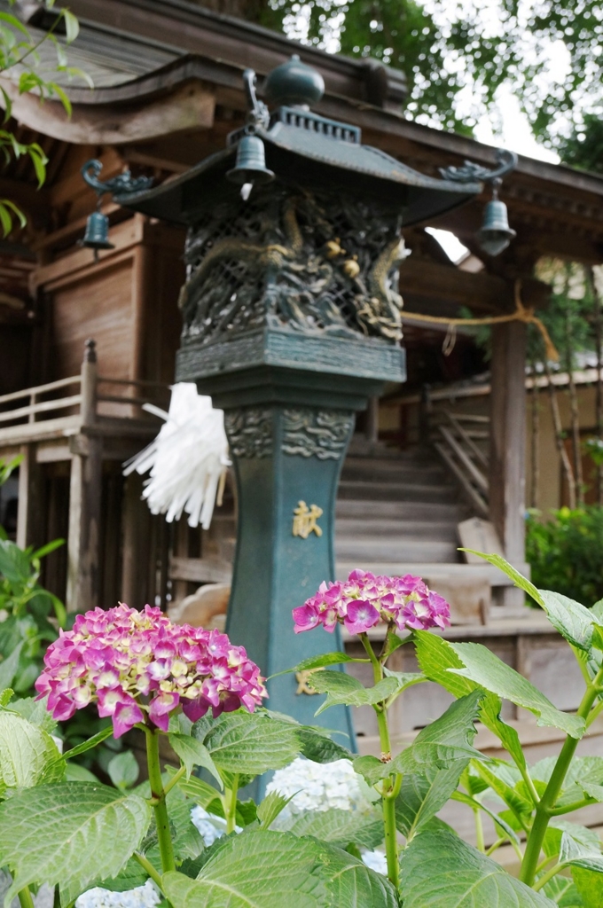 f:id:trick-spec:20160606140759j:plain f:id:trick-spec:20160606140759j:plain