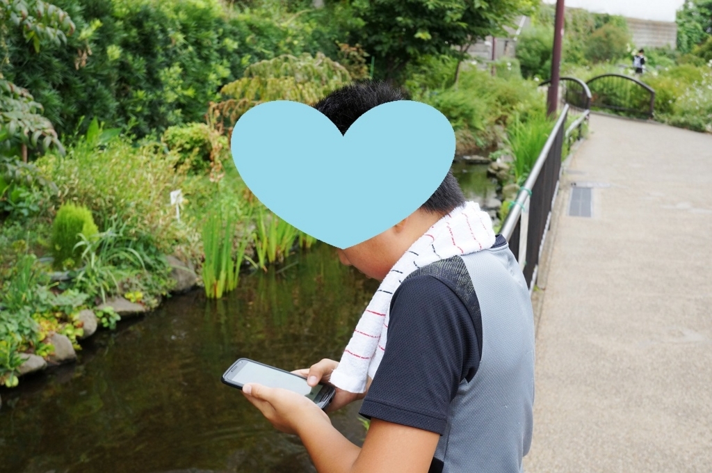f:id:trick-spec:20160815105146j:plain f:id:trick-spec:20160815105146j:plain