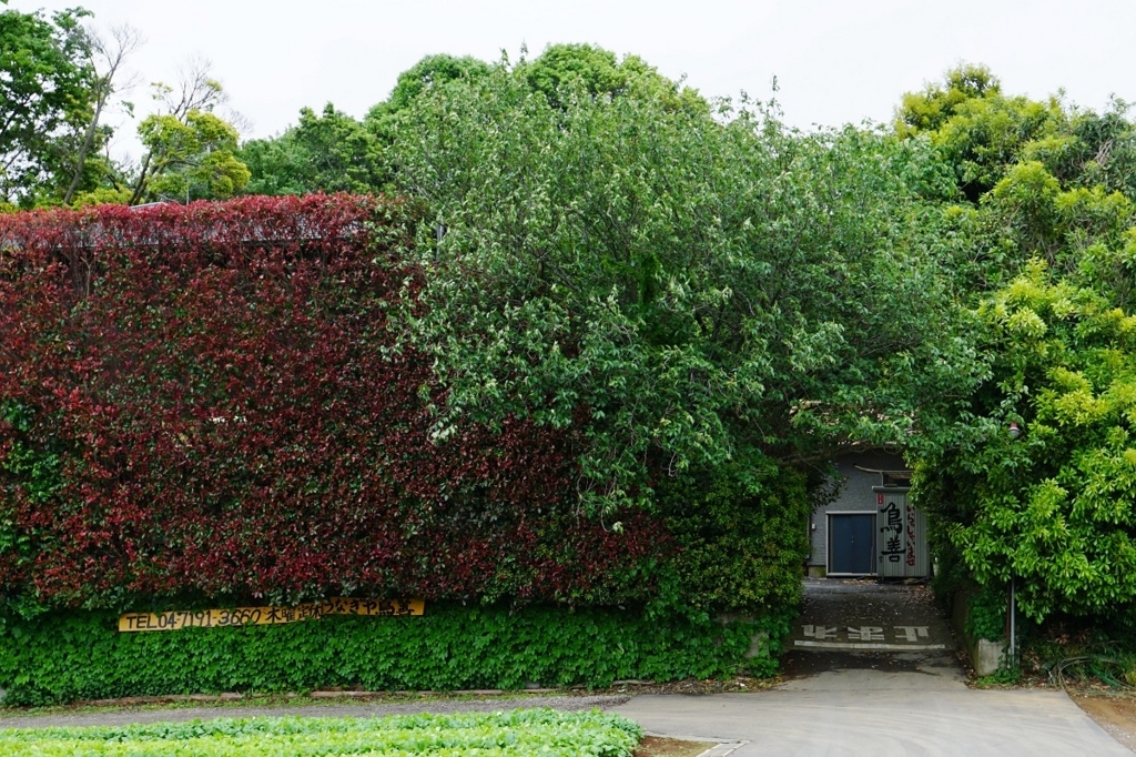 f:id:trick-spec:20180508124403j:plain f:id:trick-spec:20180508124403j:plain