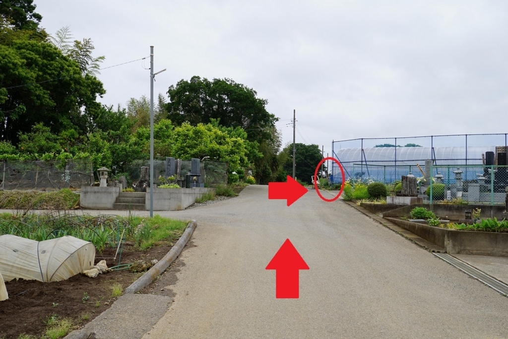 f:id:trick-spec:20180508134830j:plain f:id:trick-spec:20180508134830j:plain