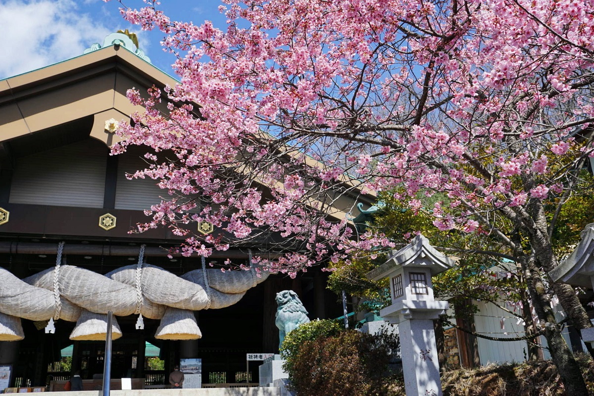 f:id:trick-spec:20200325113033j:plain