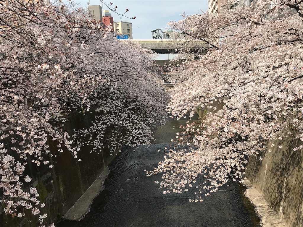 f:id:trick-star-forever:20200328090947j:image