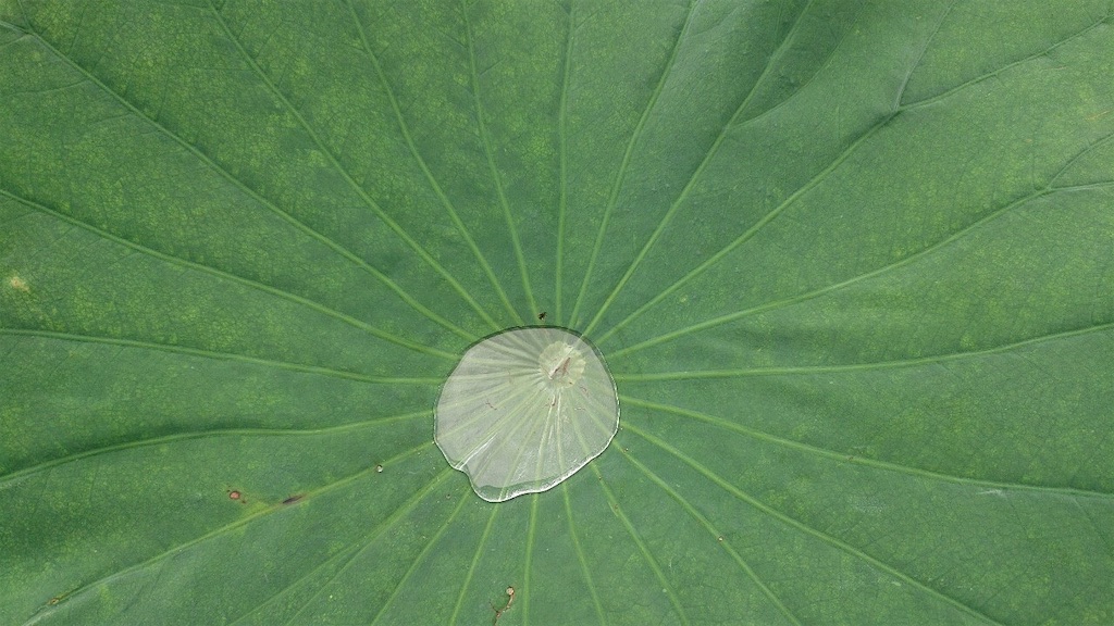 f:id:trick-star-forever:20200729121838j:image