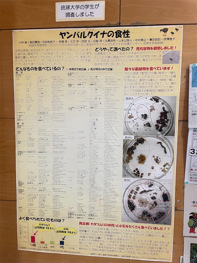 f:id:trifa_blog:20260211232257j:image