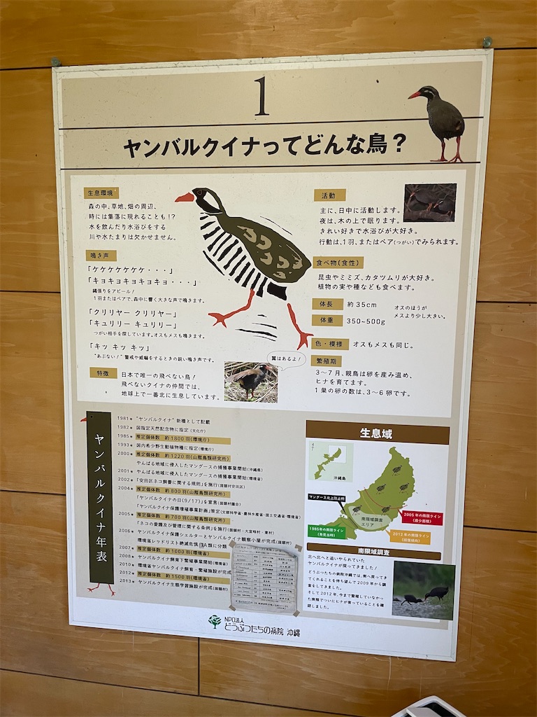 f:id:trifa_blog:20260211232304j:image