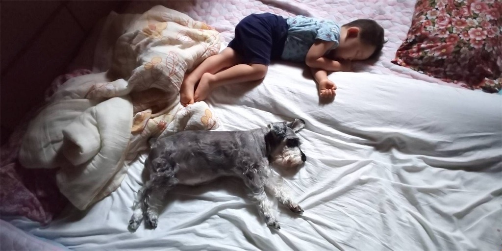 f:id:triforceyokohama:20180920171155j:image f:id:triforceyokohama:20180920171155j:image