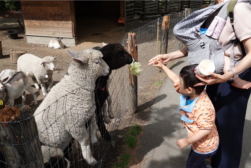 f:id:triforceyokohama:20190603005111j:image f:id:triforceyokohama:20190603005111j:image