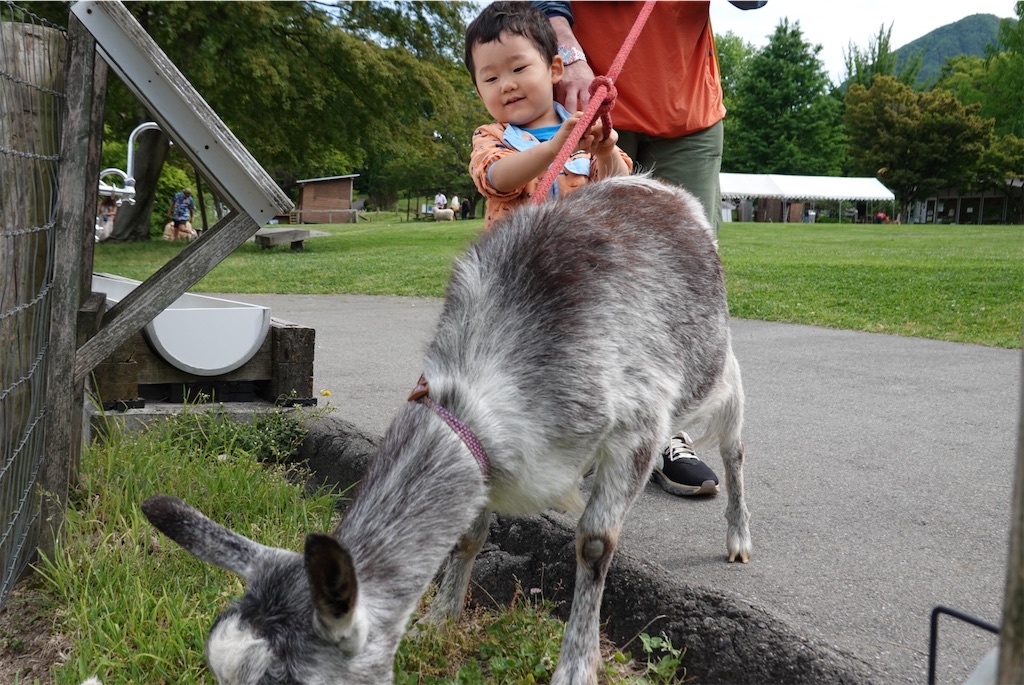 f:id:triforceyokohama:20190603005245j:image f:id:triforceyokohama:20190603005245j:image