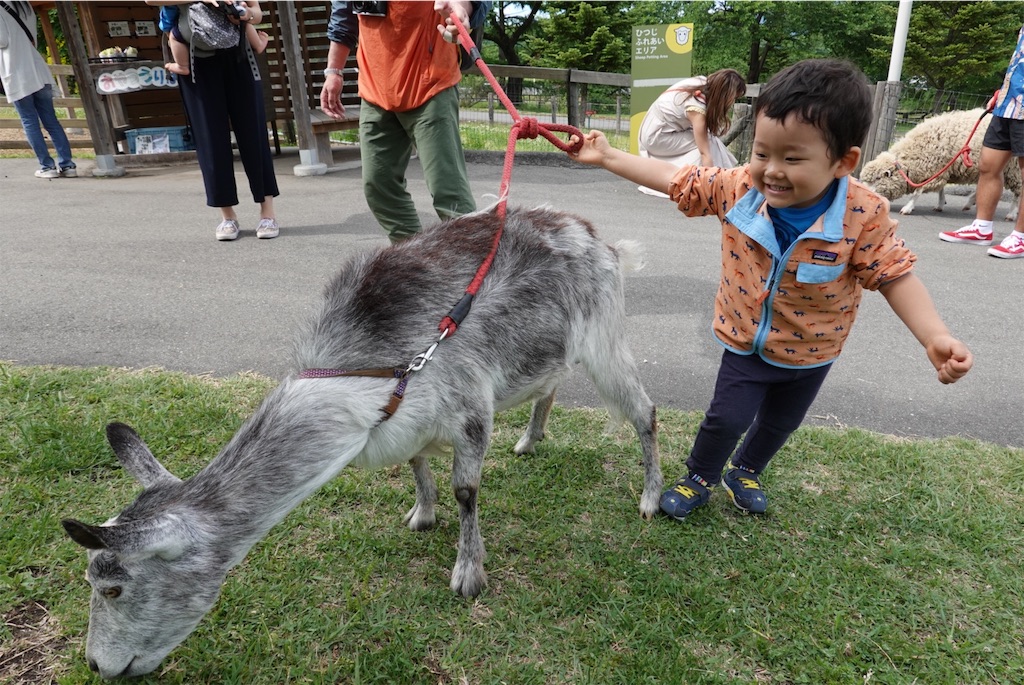f:id:triforceyokohama:20190603005427j:image f:id:triforceyokohama:20190603005427j:image