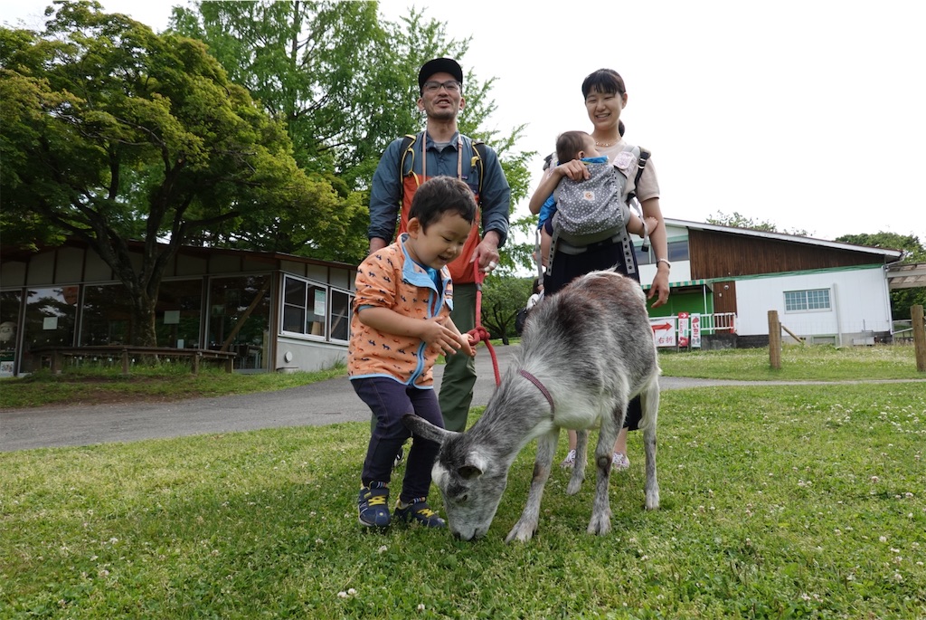 f:id:triforceyokohama:20190603005530j:image f:id:triforceyokohama:20190603005530j:image