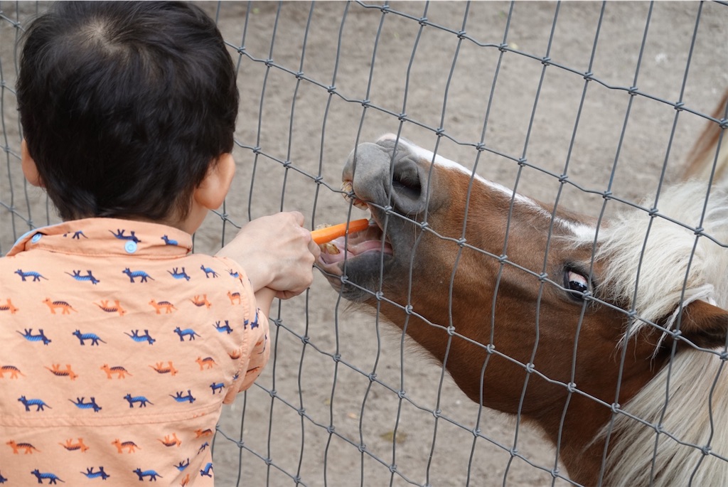 f:id:triforceyokohama:20190603005701j:image f:id:triforceyokohama:20190603005701j:image