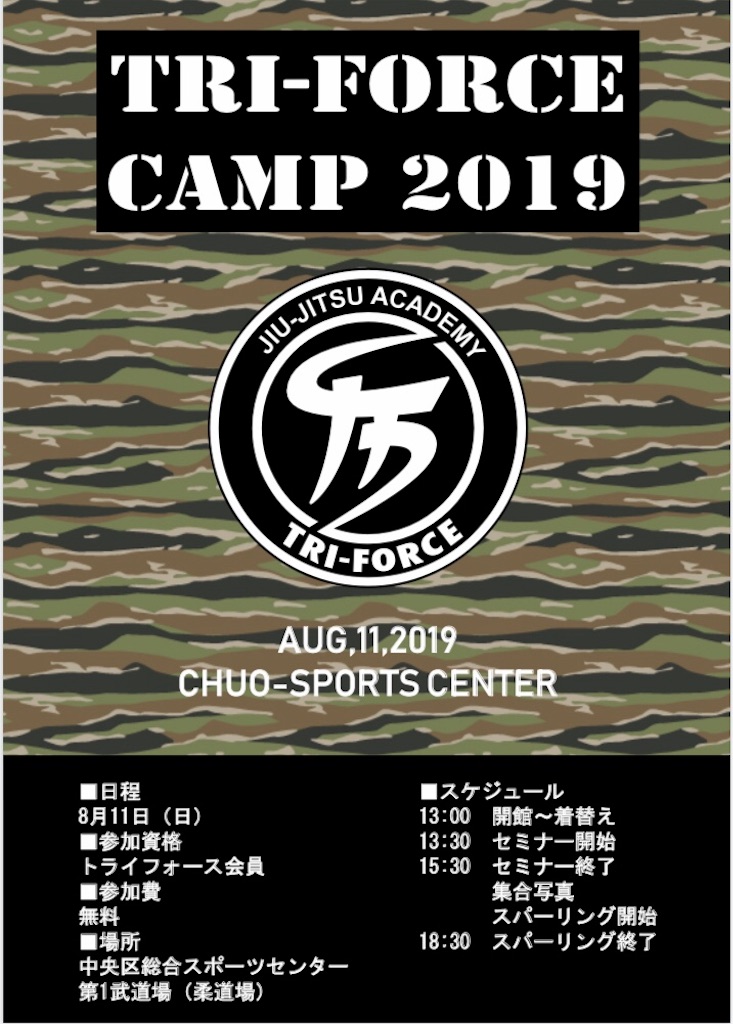 f:id:triforceyokohama:20190712213305j:image