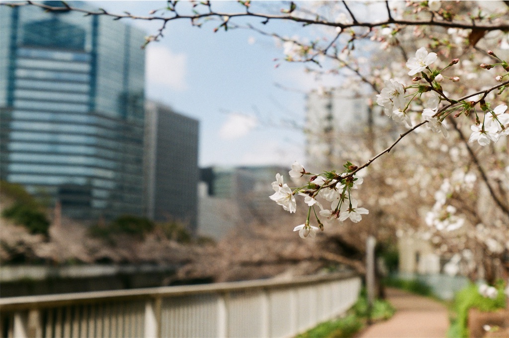 f:id:triforceyokohama:20250413221321j:image