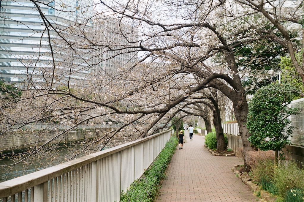 f:id:triforceyokohama:20250413221506j:image