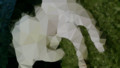 20180616015138