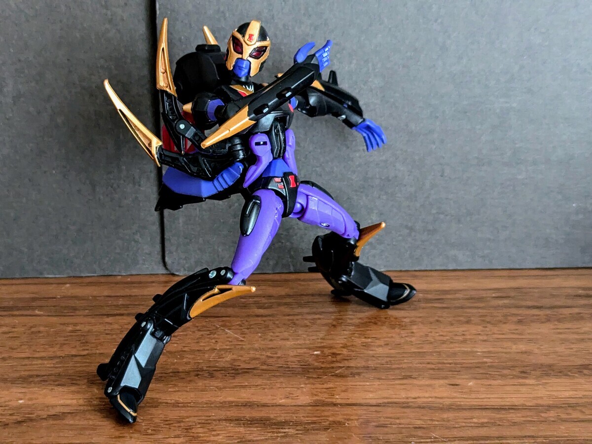 Transformers Animated Deluxe Class Blackarachnia (2008