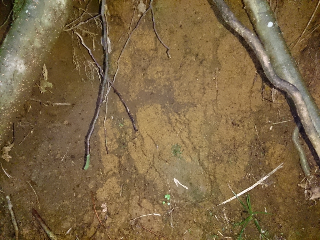 f:id:trillion-3934p:20170812224453j:plain