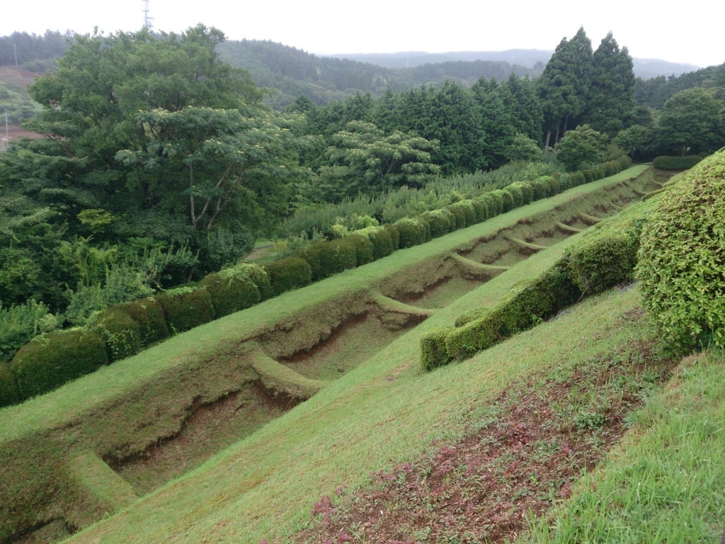 f:id:trillion-3934p:20170812230529j:plain