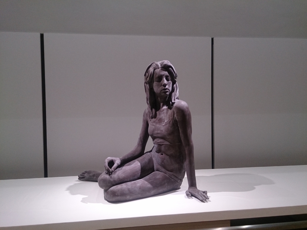 f:id:trillion-3934p:20180114232015j:plain f:id:trillion-3934p:20180114232015j:plain