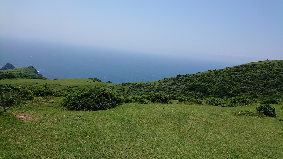 f:id:trillion-3934p:20190715003305j:plain