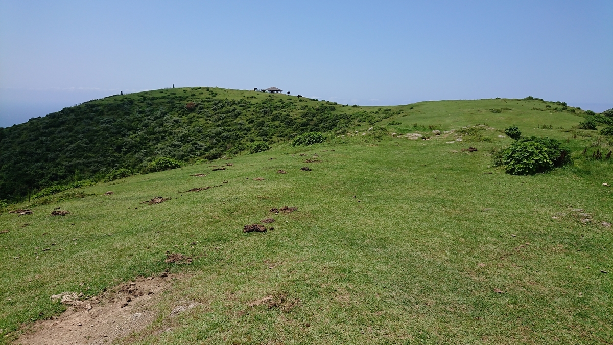 f:id:trillion-3934p:20190715003352j:plain