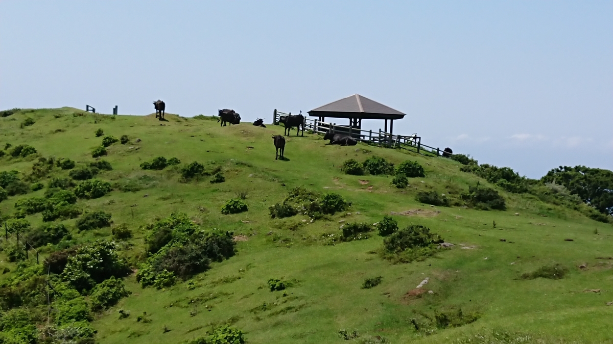 f:id:trillion-3934p:20190715003458j:plain