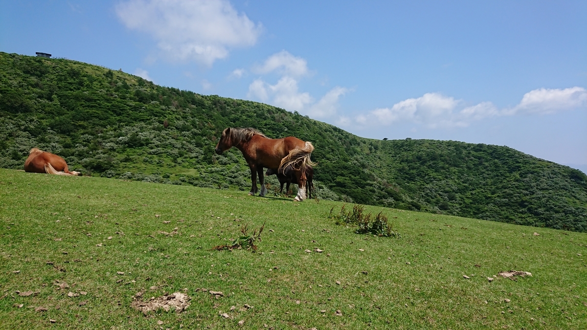 f:id:trillion-3934p:20190715003738j:plain