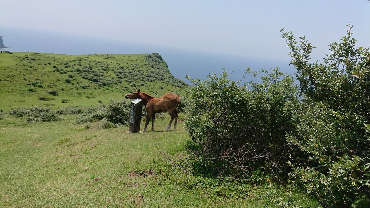 f:id:trillion-3934p:20190715003857j:plain