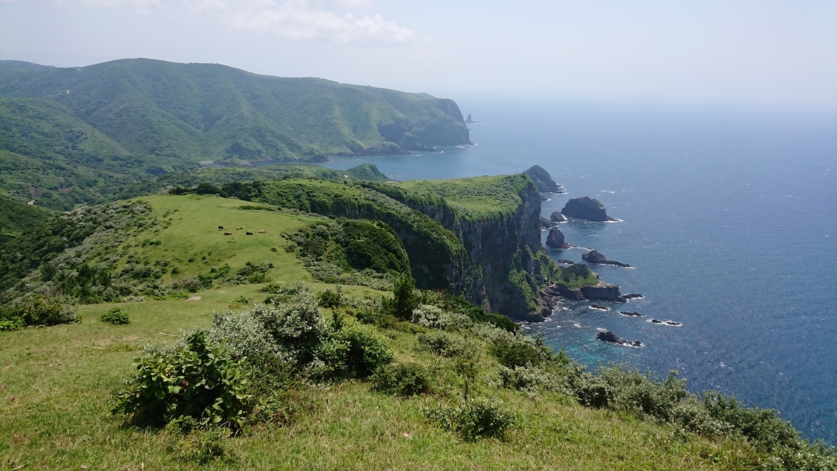 f:id:trillion-3934p:20190715004121j:plain