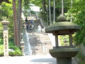 [三室戸寺][宇治市][アジサイ]