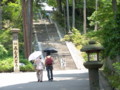 [三室戸寺][宇治市][アジサイ]