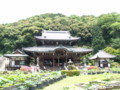 [三室戸寺][宇治市][アジサイ]