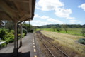 [千葉県][市原市][上総鶴舞駅][小湊鉄道線][鉄道]