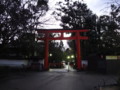 [京都][東山][花灯路][夜][夜景][DSC-TX300V]