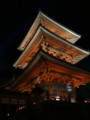 [京都][東山][花灯路][夜][夜景][DSC-TX300V]