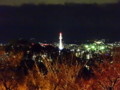 [京都][東山][花灯路][夜][夜景][DSC-TX300V]