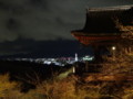 [京都][東山][花灯路][夜][夜景][DSC-TX300V]