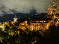 [京都][東山][花灯路][夜][夜景][DSC-TX300V]