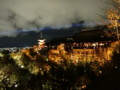 [京都][東山][花灯路][夜][夜景][DSC-TX300V]