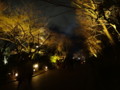 [京都][東山][花灯路][夜][夜景][DSC-TX300V]