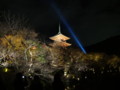 [京都][東山][花灯路][夜][夜景][DSC-TX300V]