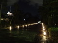 [京都][東山][花灯路][夜][夜景][DSC-TX300V]